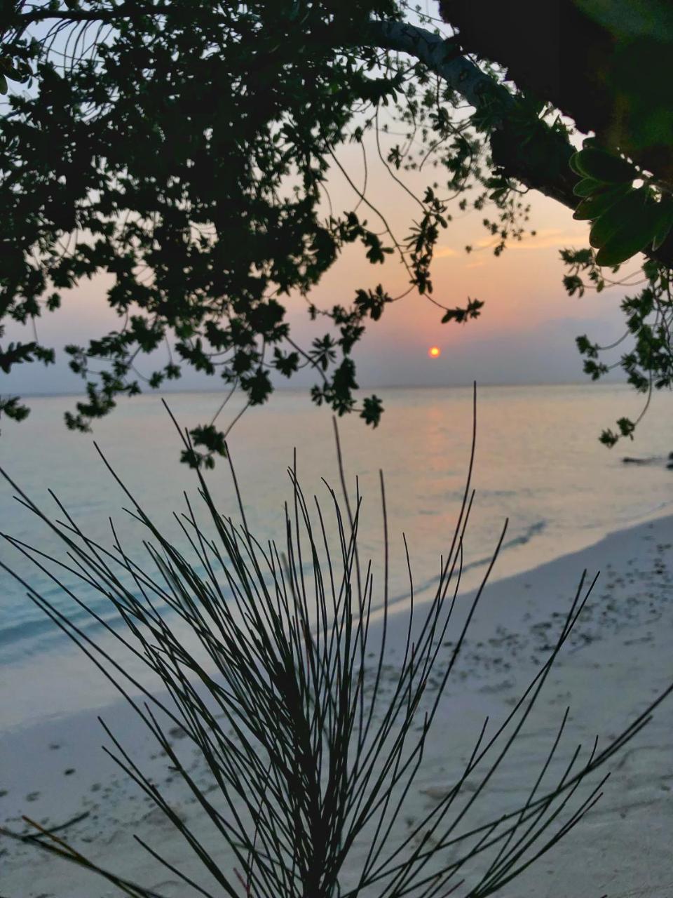 Wow Retreat Hotel Felidhoo Kültér fotó