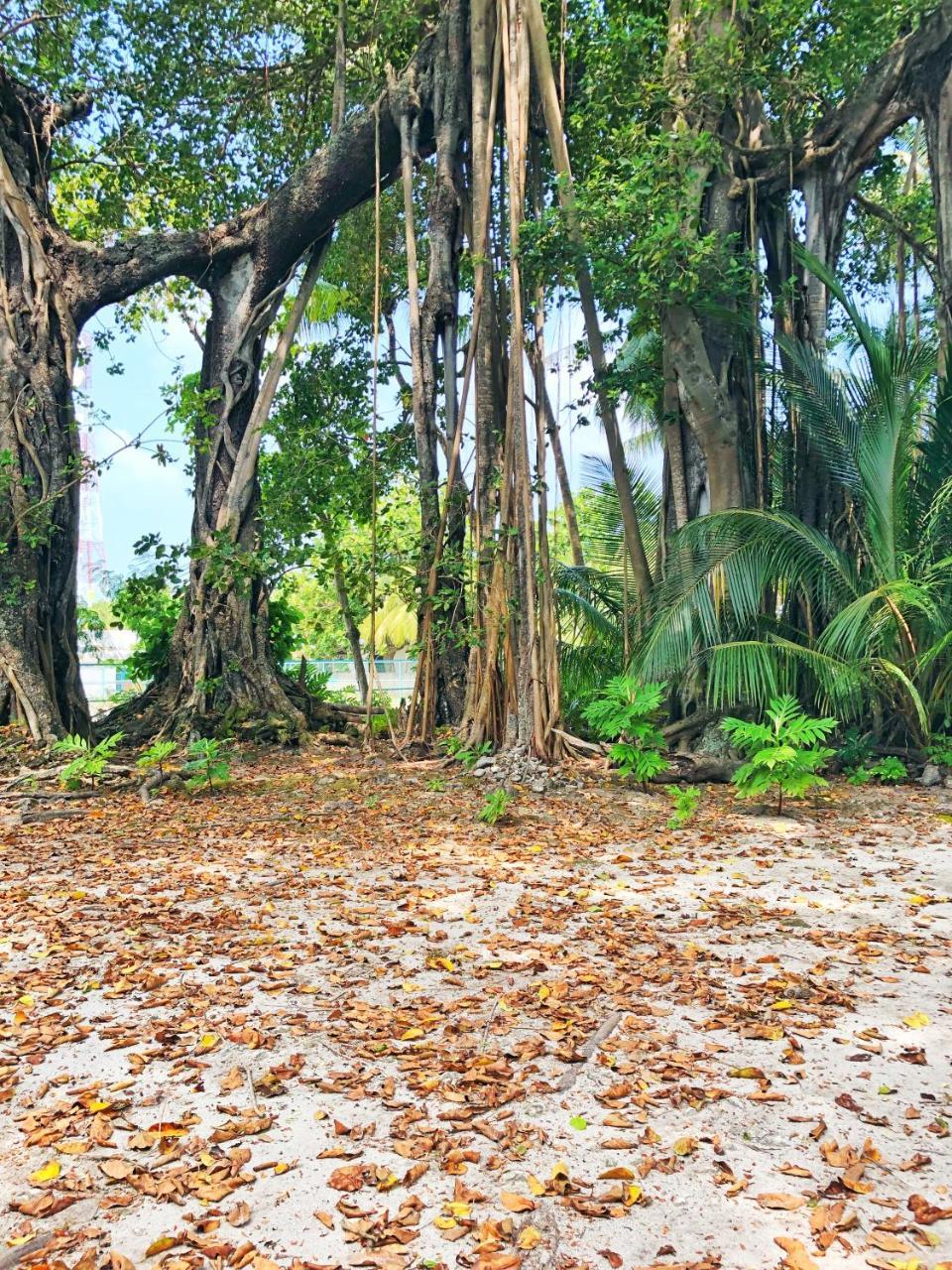 Wow Retreat Hotel Felidhoo Kültér fotó