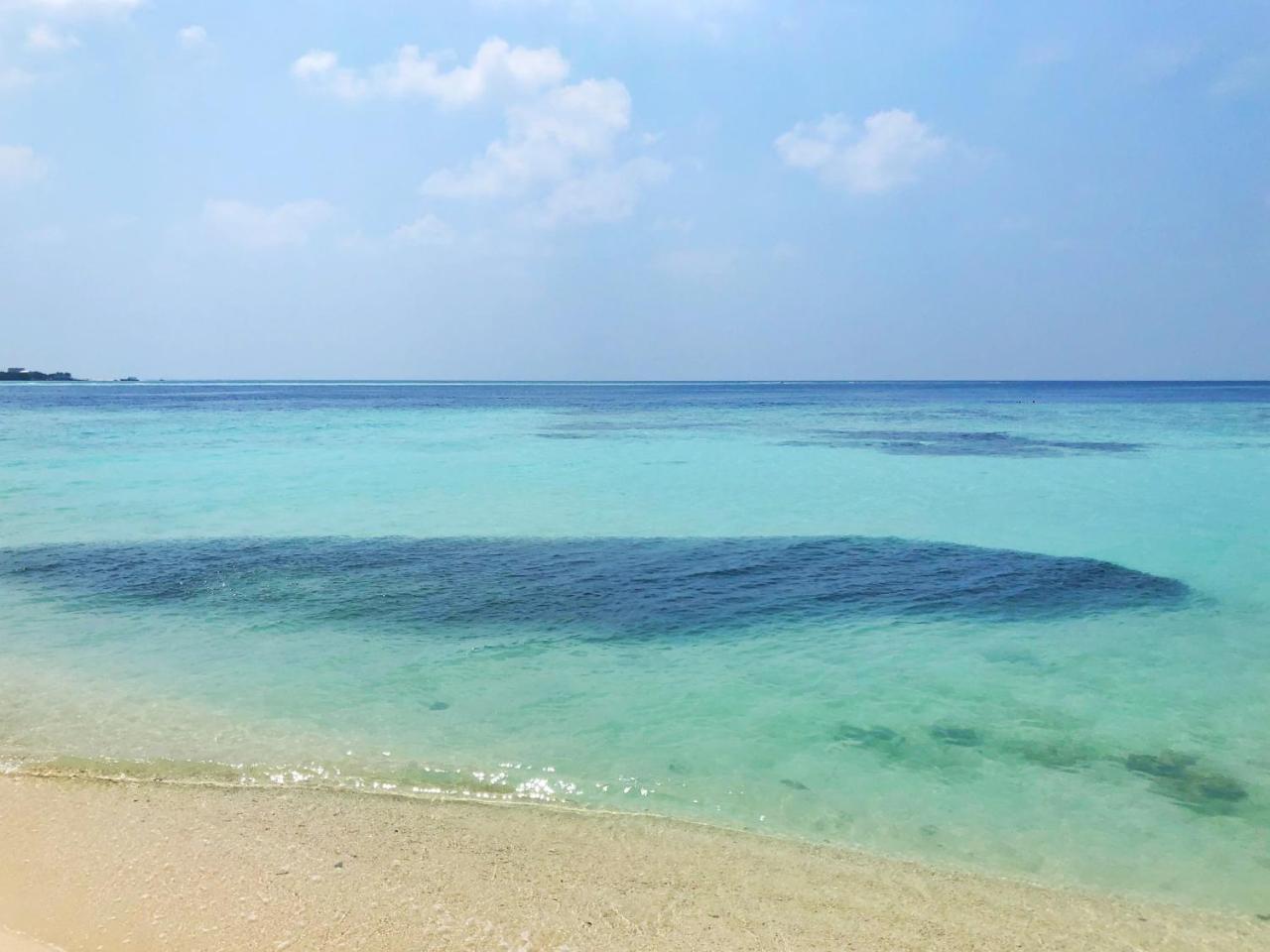 Wow Retreat Hotel Felidhoo Kültér fotó